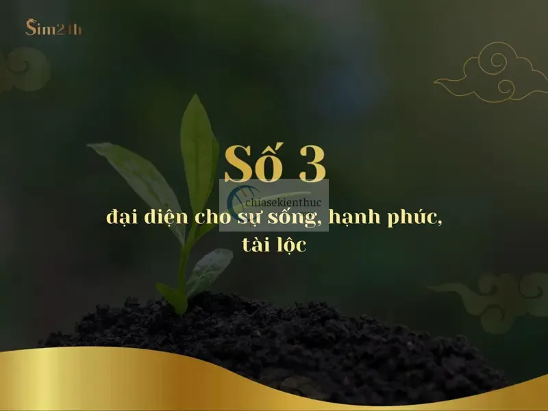 Ý nghĩa số 3: vững chãi, quyền lực, tâm linh, kiên cường, sáng tạo
